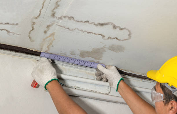 Reliable Mold Remediation contractor in Eldorado, TX by Water Damage Irwin